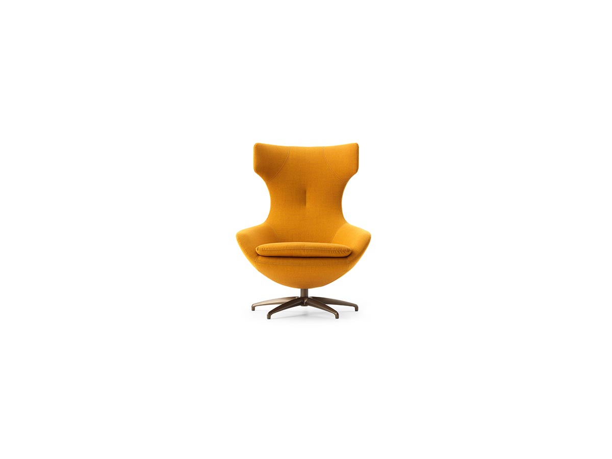 Leolux Caruzzo fauteuil