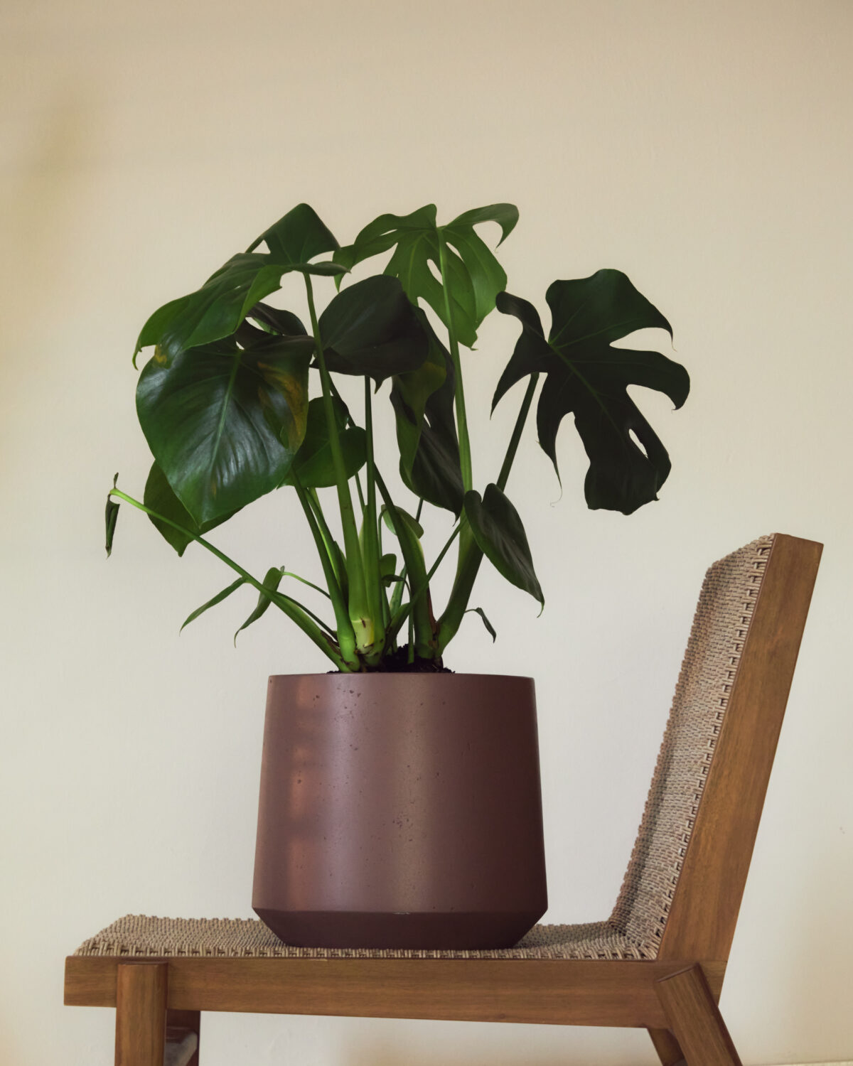 Kave Home Calun donkerrode bloempot van cement Ø 32 cm - Afbeelding 2