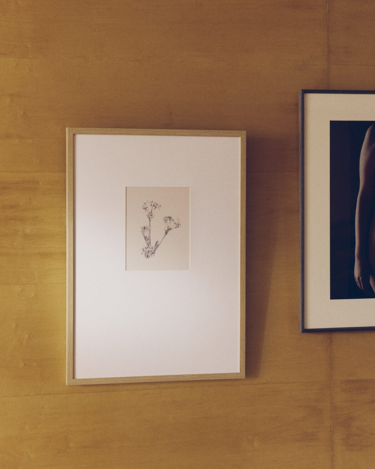 Kave Home Lirena schilderij met botanische illustratie 50 x 70 cm - Afbeelding 5