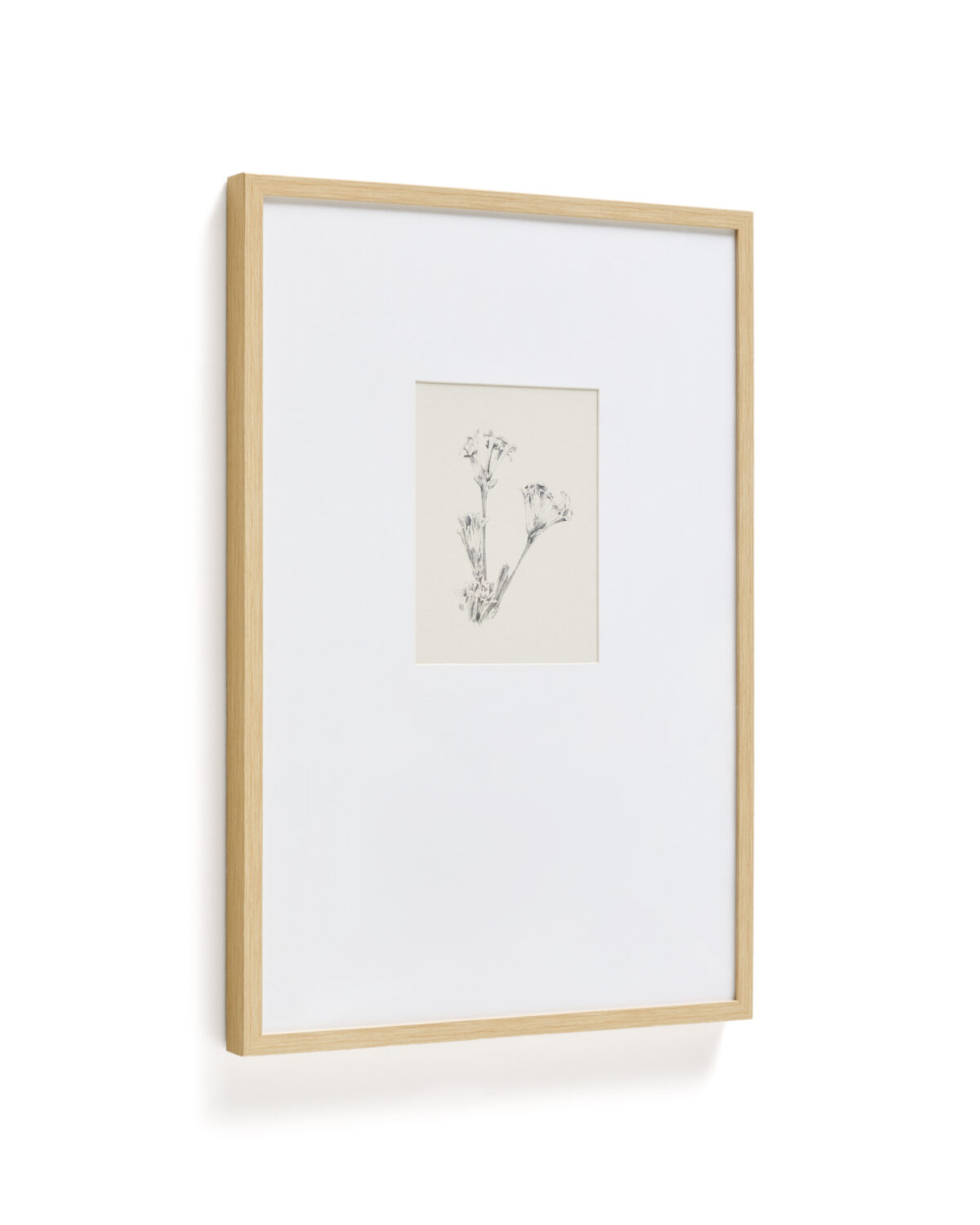 Kave Home Lirena schilderij met botanische illustratie 50 x 70 cm - Afbeelding 10