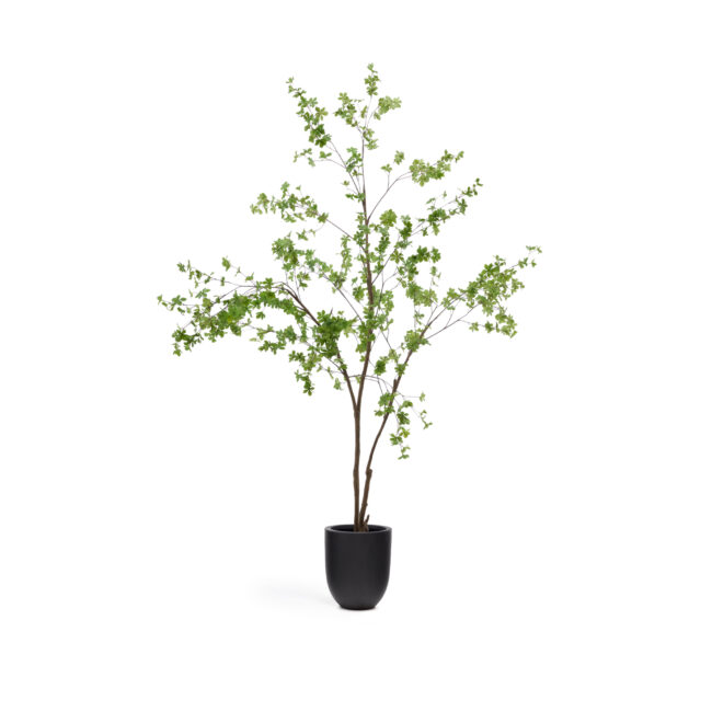 Kave Home Enkianthus-kunstboom met zwarte pot 214 cm