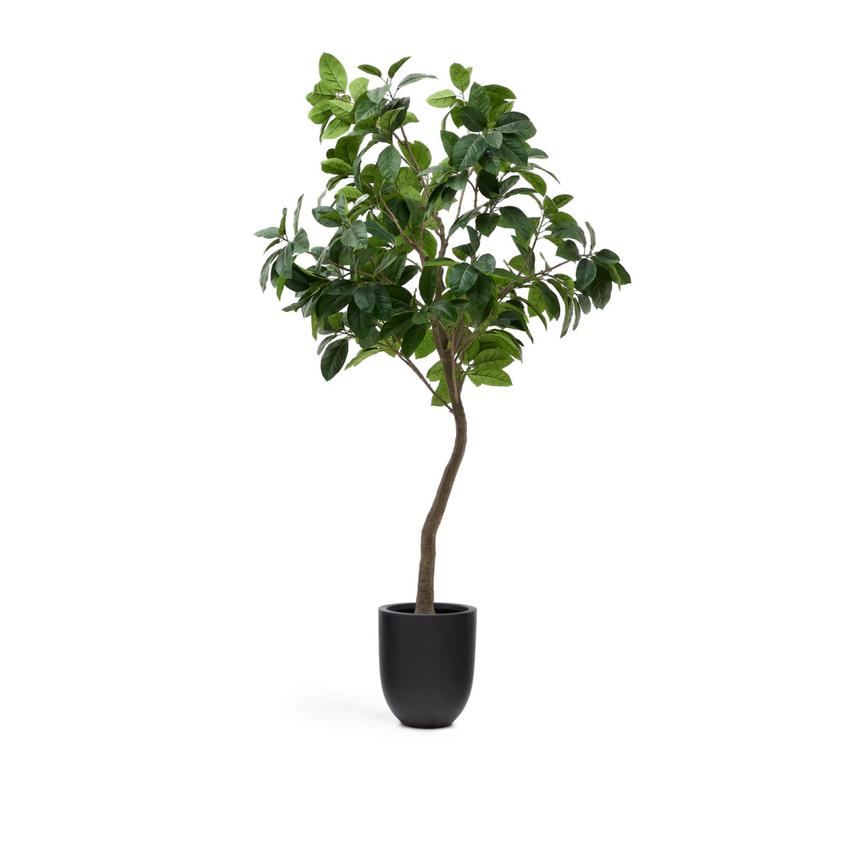 Kave Home Kunstboom Ficus met zwarte pot 210 cm - Afbeelding 6