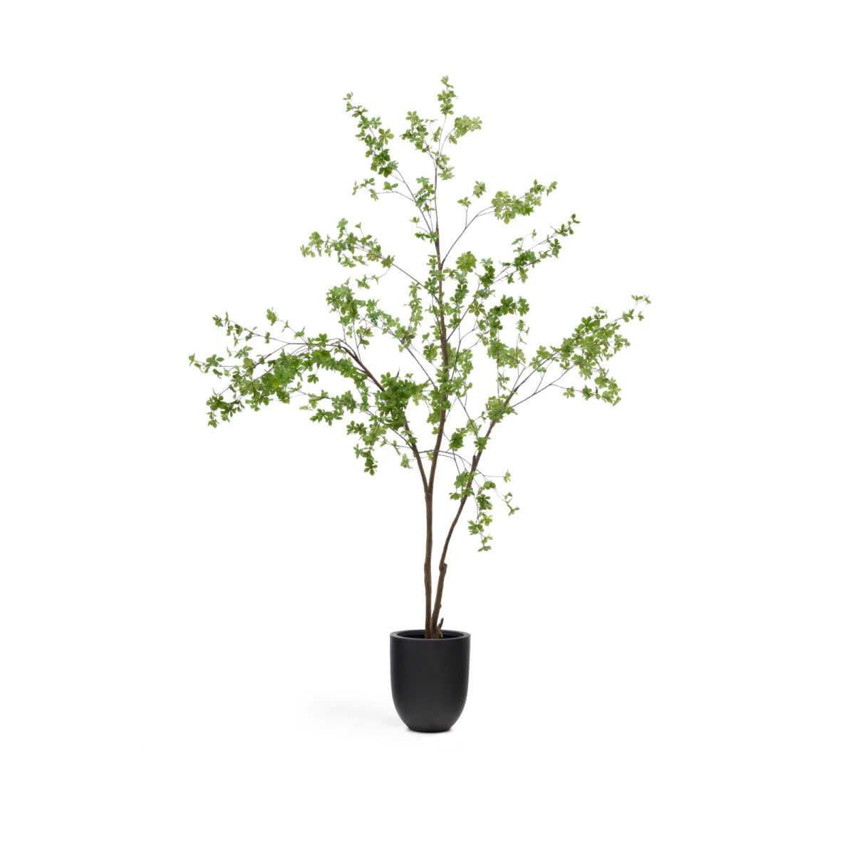 Kave Home Enkianthus-kunstboom met zwarte pot 214 cm - Afbeelding 6