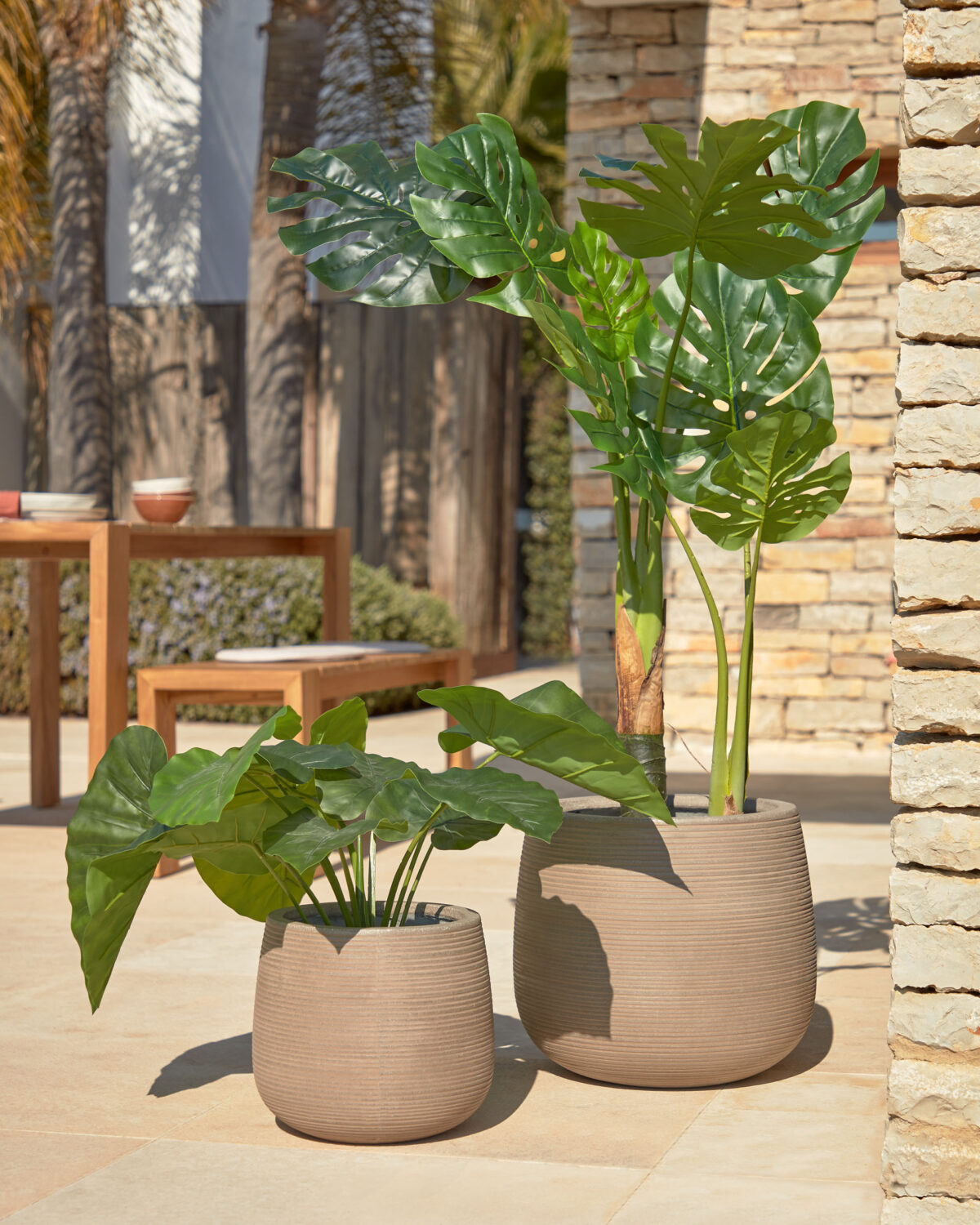 Kave Home Kunstmatige Alocasia Odora met zwarte plantenpot 57 cm - Afbeelding 2