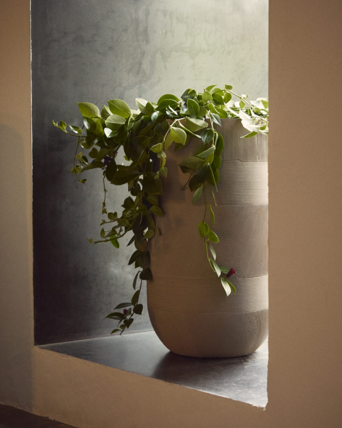 Kave Home Tival beige bloempot van cement Ø 45 cm / Ø 32 cm - Afbeelding 19