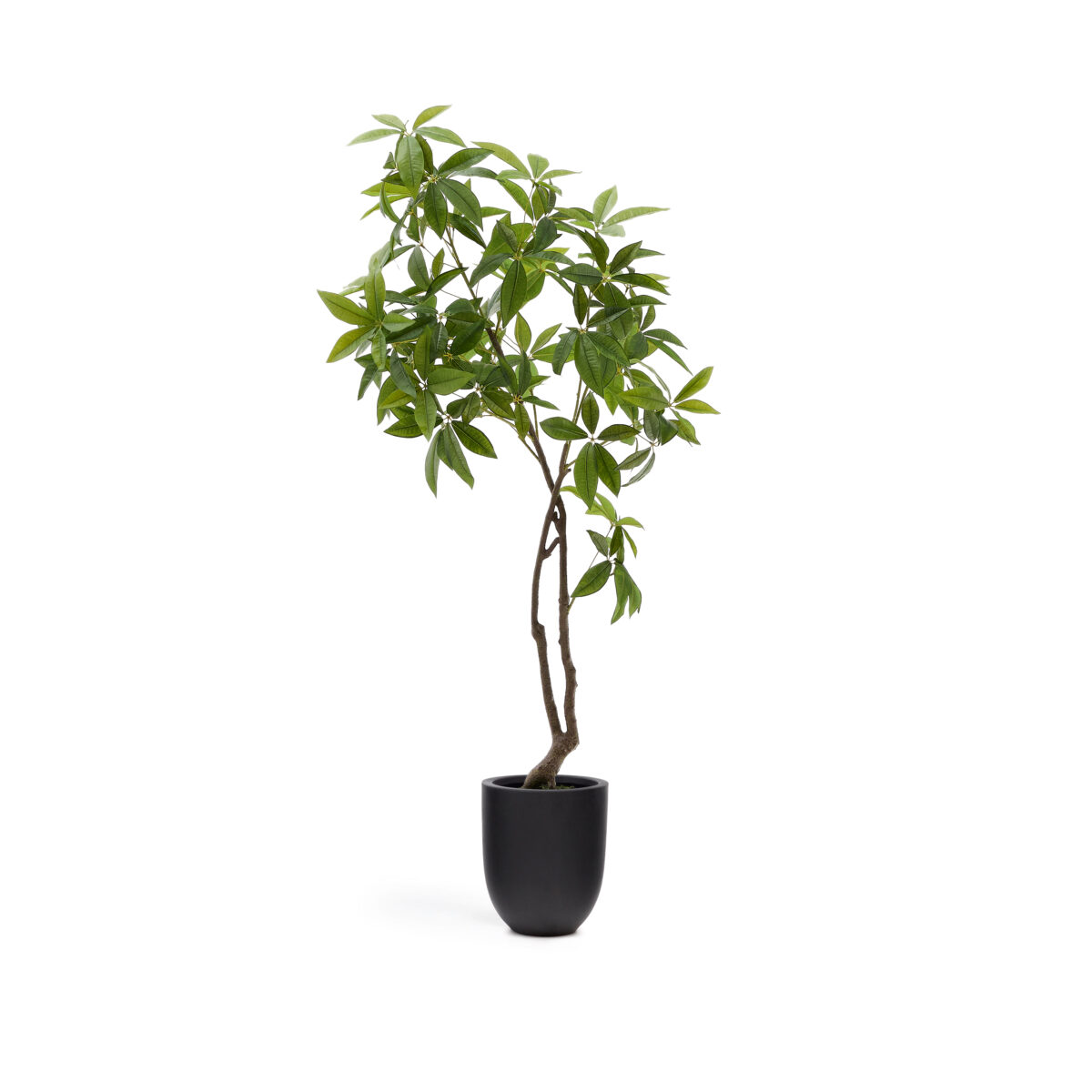 Kave Home Kunstboom Pachira met zwarte pot 180 cm - Afbeelding 4