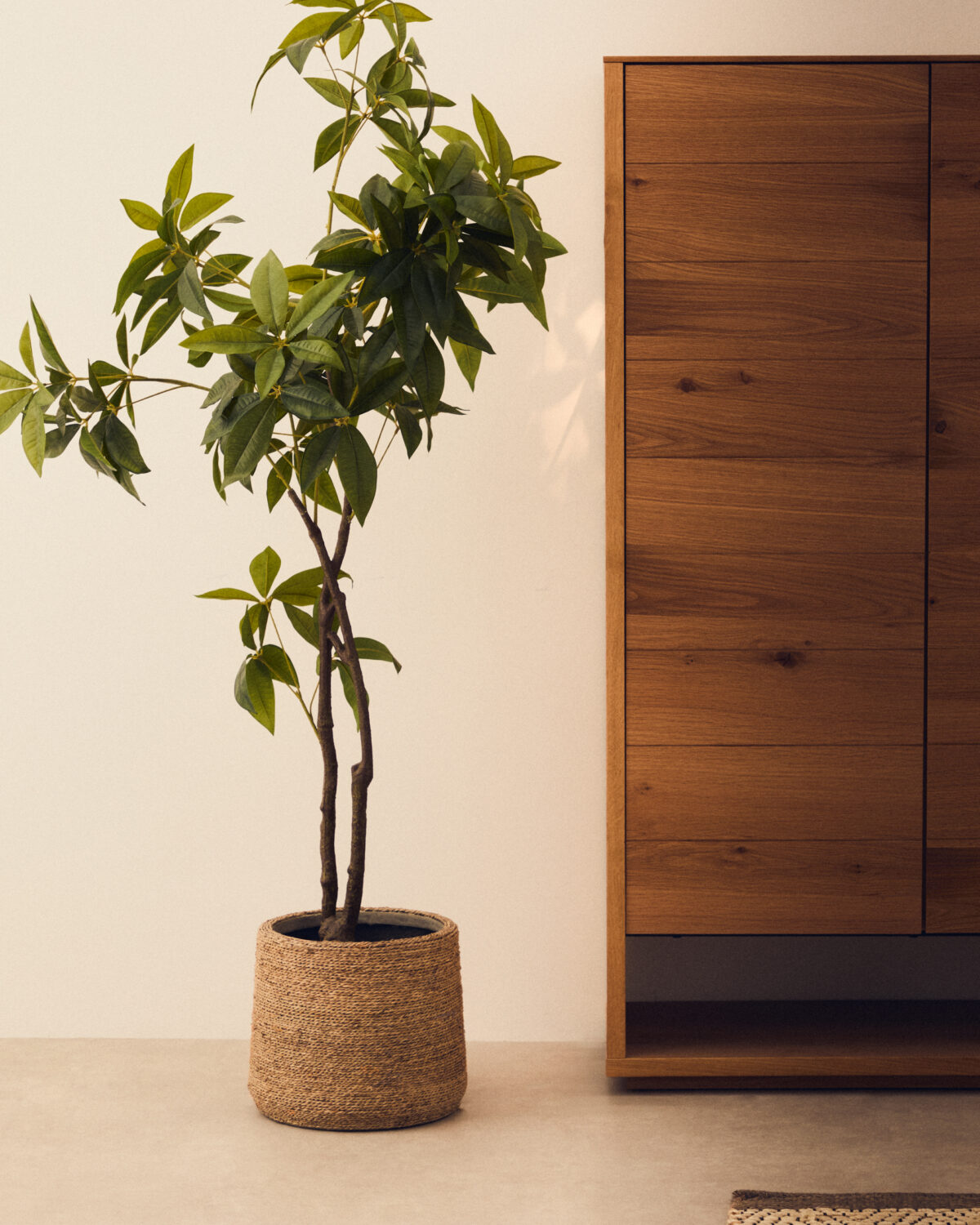 Kave Home Kunstboom Pachira met zwarte pot 180 cm - Afbeelding 2