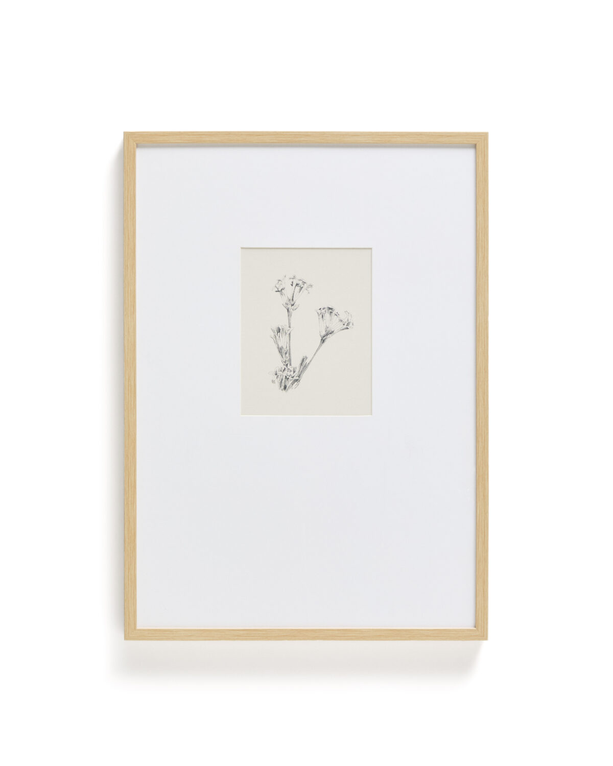 Kave Home Lirena schilderij met botanische illustratie 50 x 70 cm - Afbeelding 72