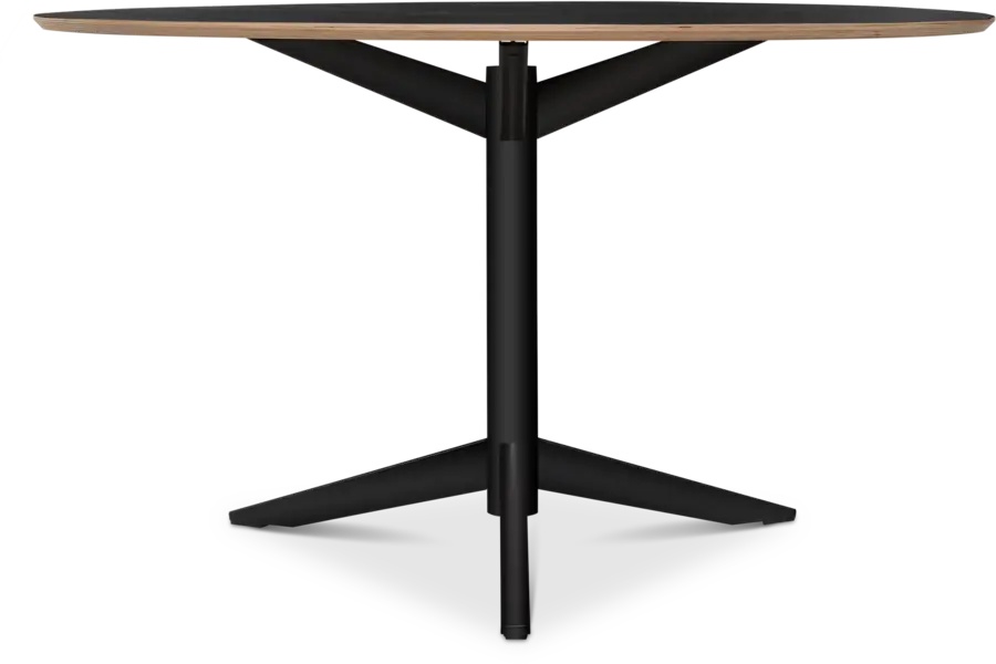 Pastoe TE06 eettafel - Afbeelding 3