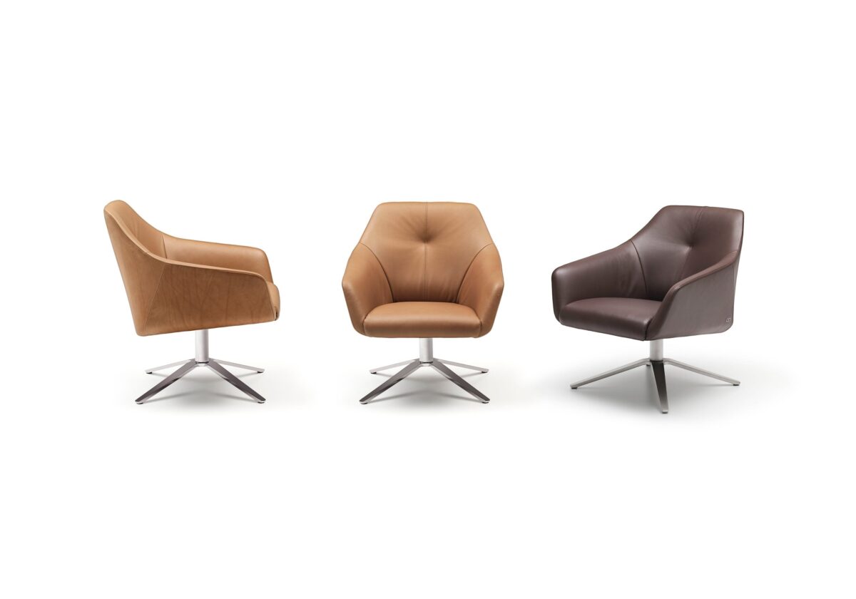 De Sede DS-278 fauteuil - Afbeelding 7