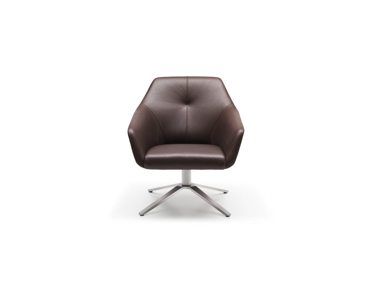De Sede DS-278 fauteuil - Afbeelding 8