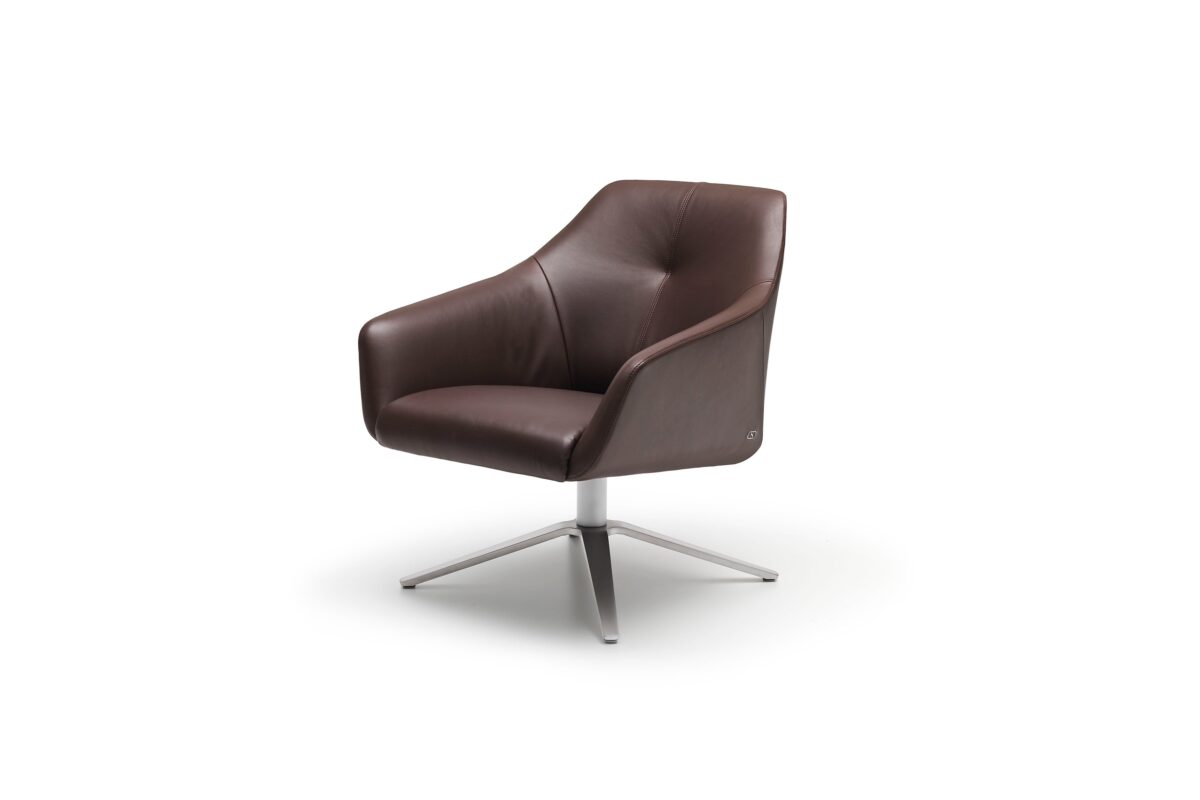 De Sede DS-278 fauteuil - Afbeelding 11