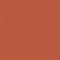 PP07 Burned Orange
