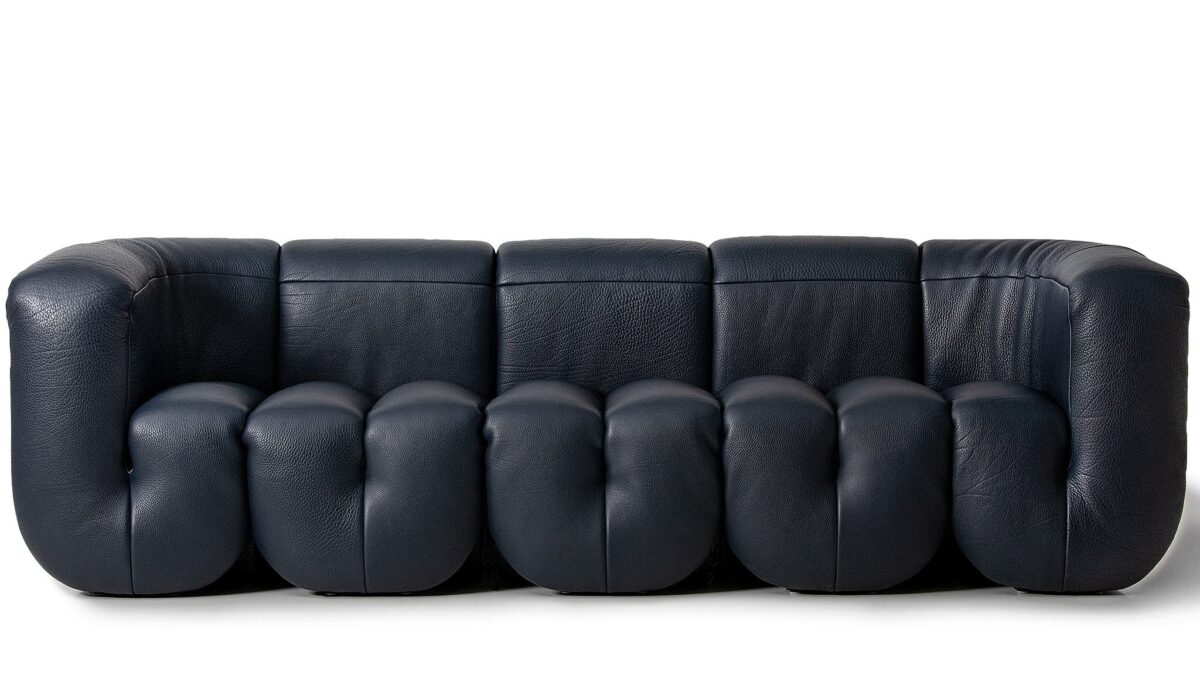 De Sede DS-707 Canada fauteuil - Afbeelding 10
