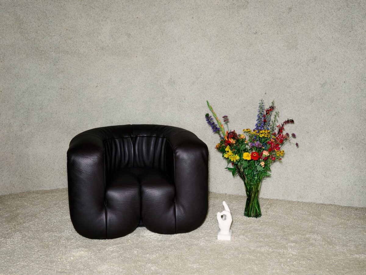De Sede DS-707 Canada fauteuil - Afbeelding 49