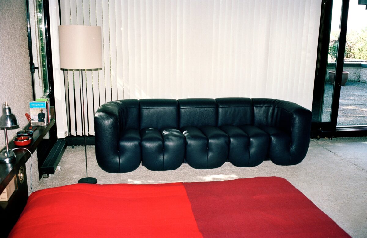 De Sede DS-707 Canada fauteuil - Afbeelding 52