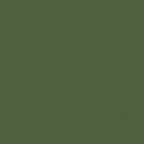 PP05 Evergreen