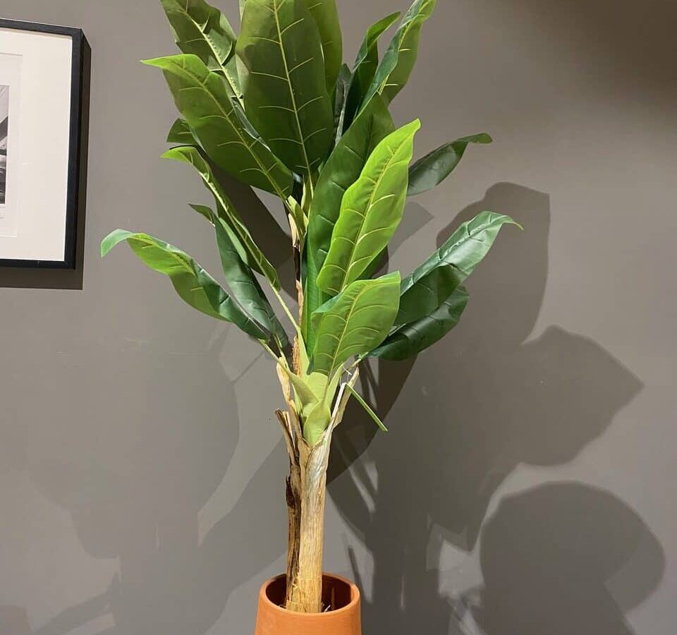 Sklum Banana 140 kunstplant– showroommodel