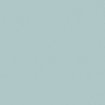 PP08 Light Blue