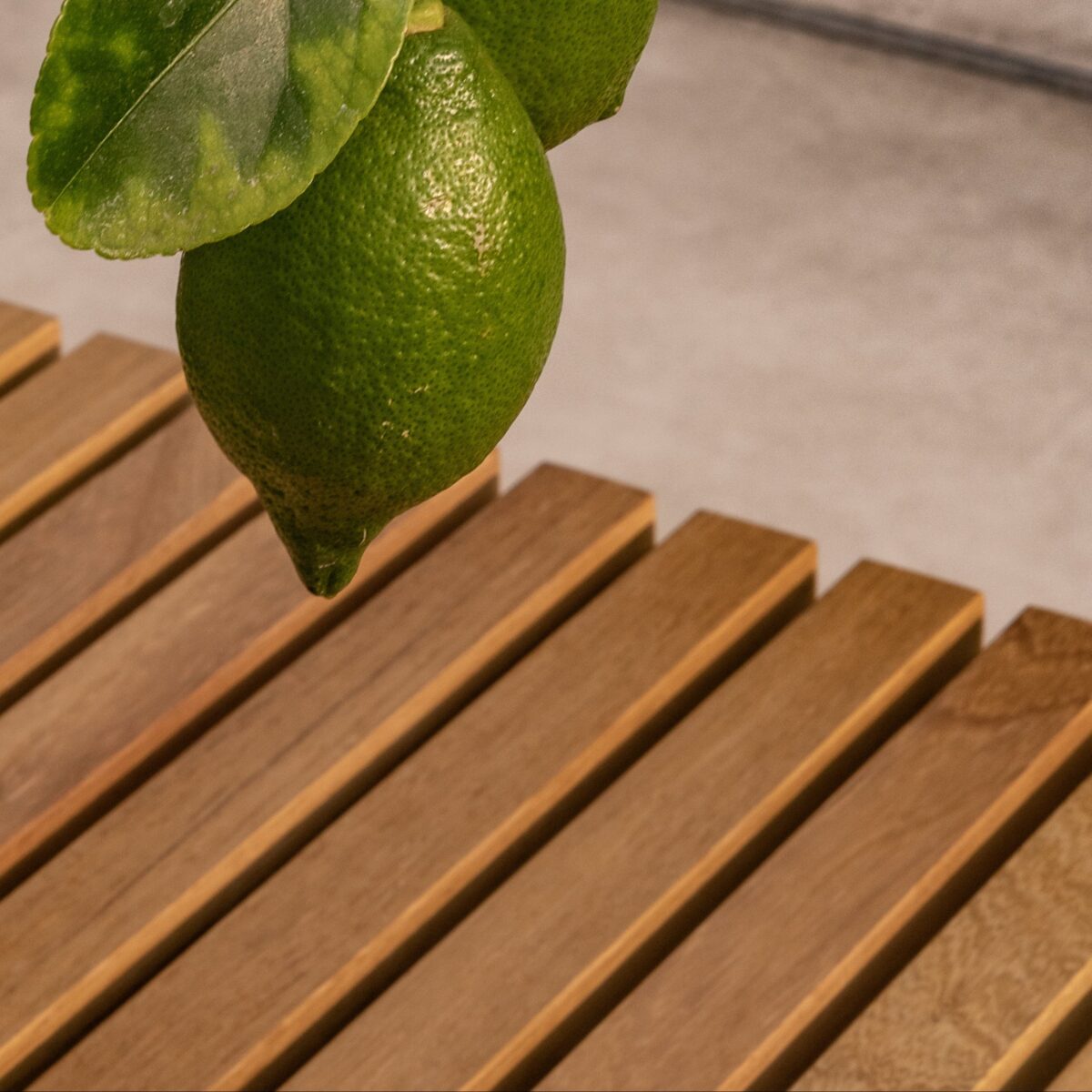 Studio HENK Elements salontafel outdoor - Afbeelding 4