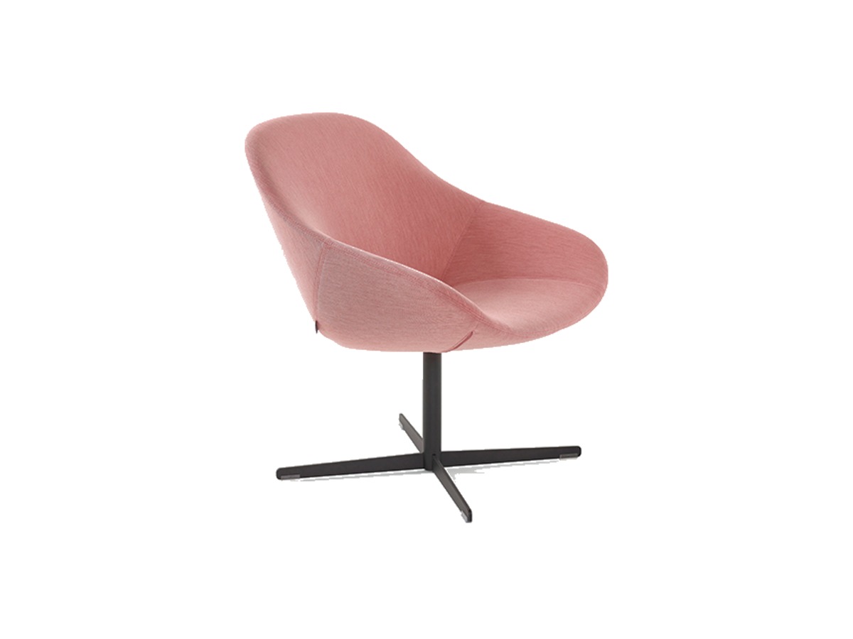 Artifort Beso lounge fauteuil – packshot