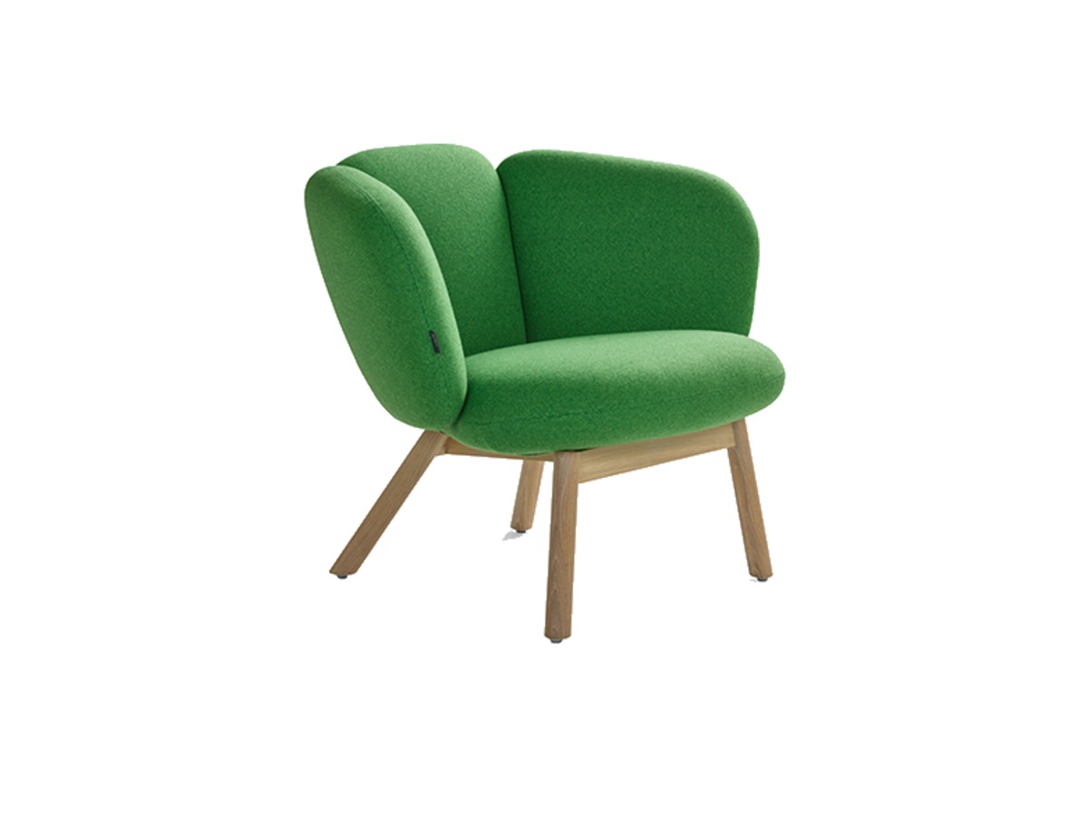 Artifort Bras Easy Chair fauteuil – packshot