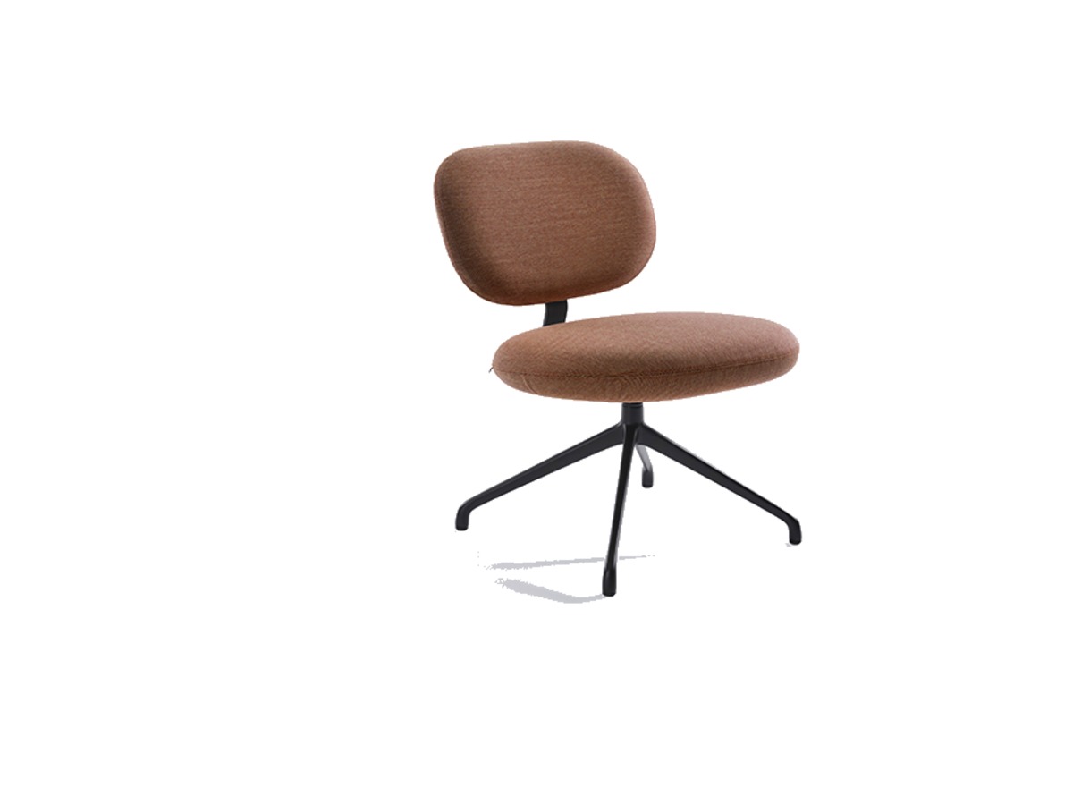 Artifort Vega lounge fauteuil – packshot