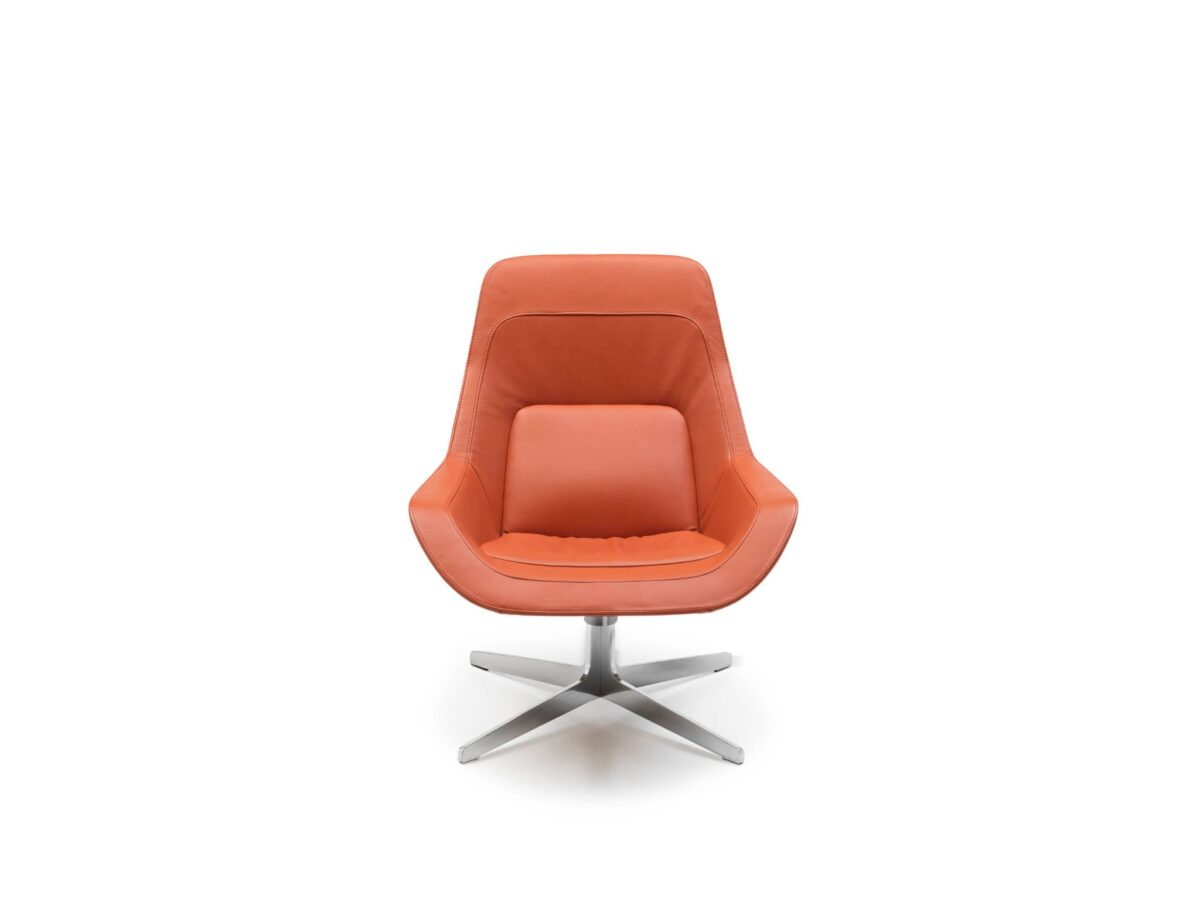De Sede DS-144 fauteuil - Afbeelding 8