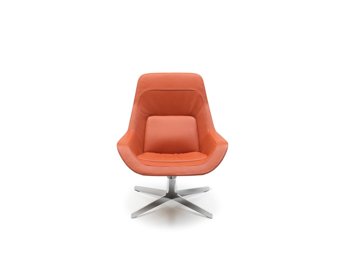 De Sede DS-144 fauteuil - Afbeelding 9