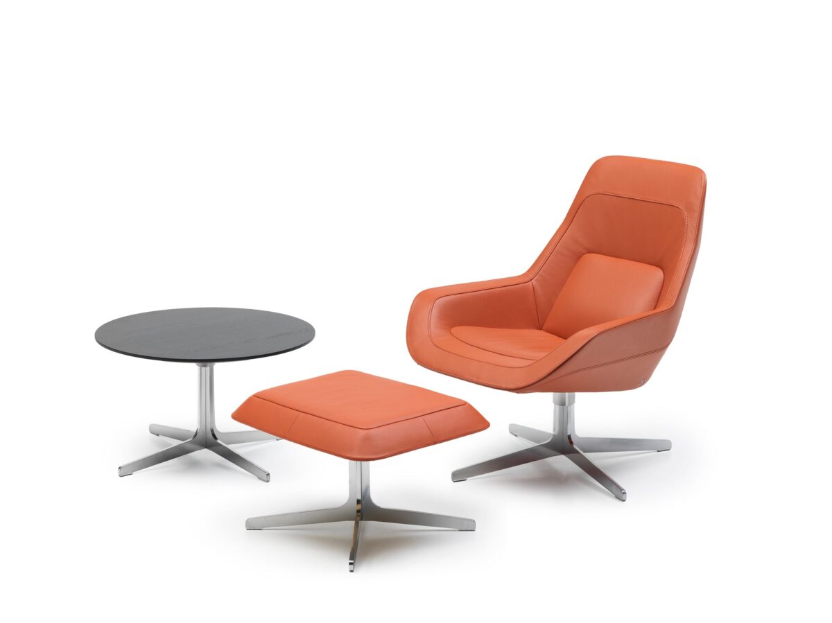 De Sede DS-144 fauteuil - Afbeelding 10