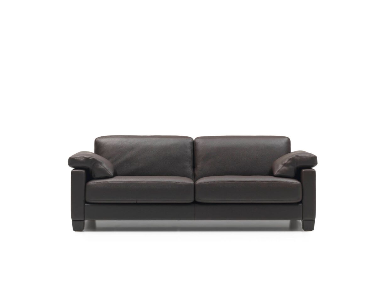 De Sede DS-17 fauteuil - Afbeelding 8