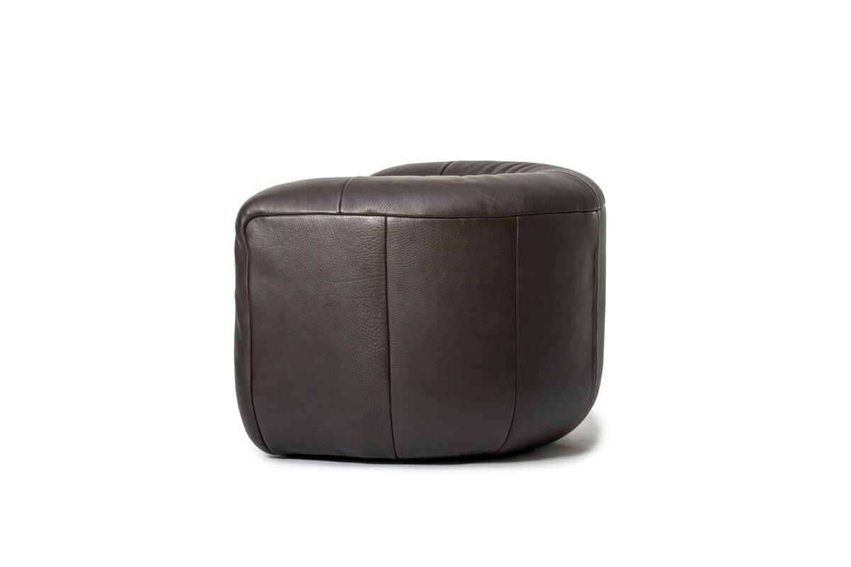 De Sede DS-707 Canada fauteuil - Afbeelding 32