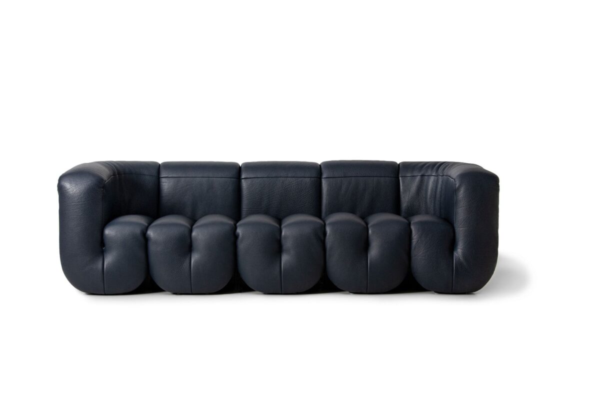 De Sede DS-707 Canada fauteuil - Afbeelding 35