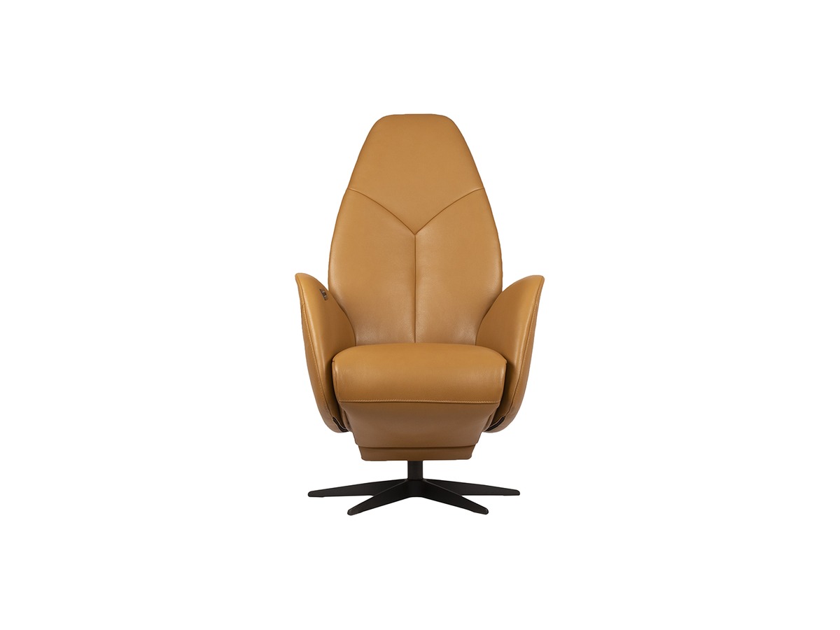 Gealux Twinz 8030 relaxfauteuil