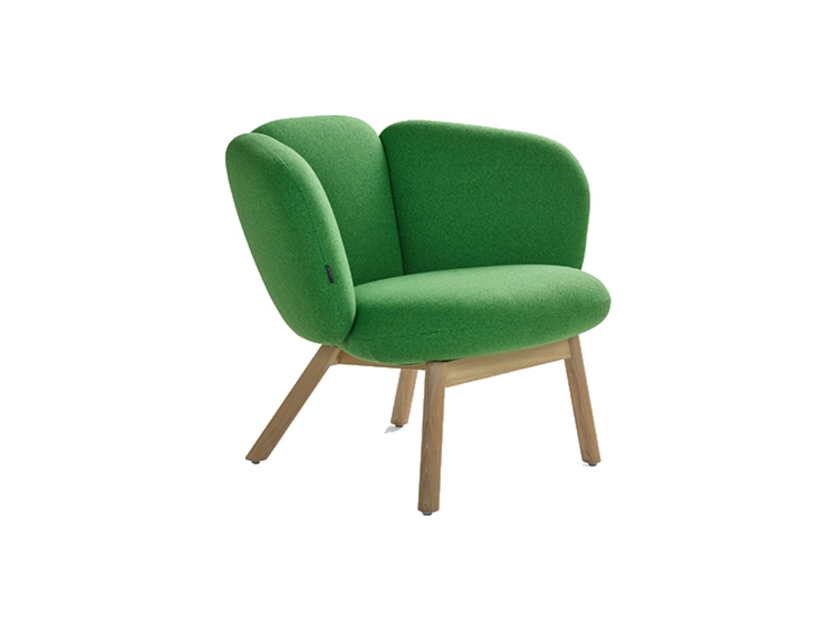 Artifort Bras Easy Chair fauteuil – packshot