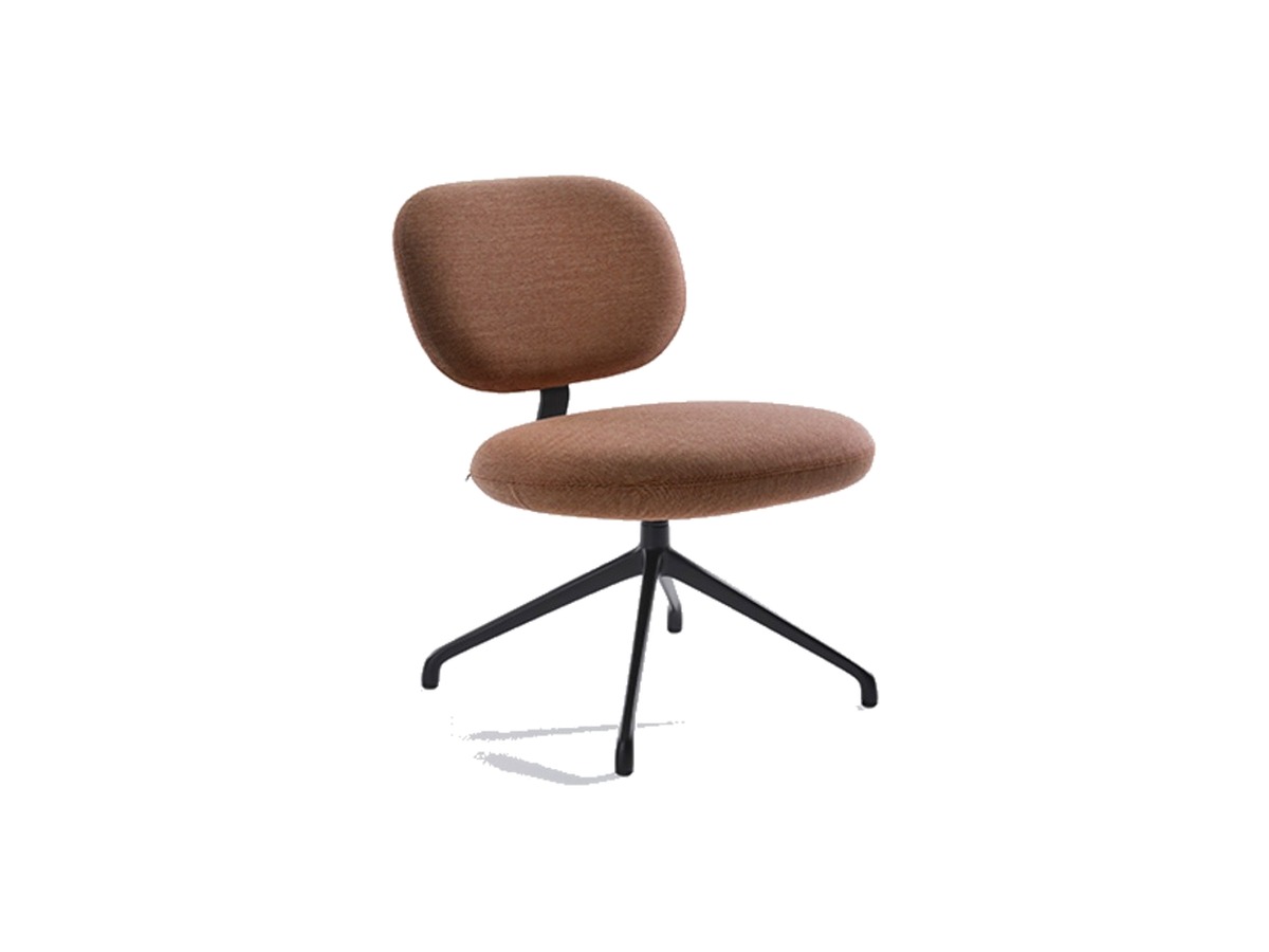 Artifort Vega lounge fauteuil – packshot
