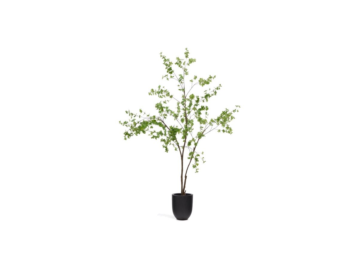 Kave Home Enkianthus-kunstboom met zwarte pot 214 cm