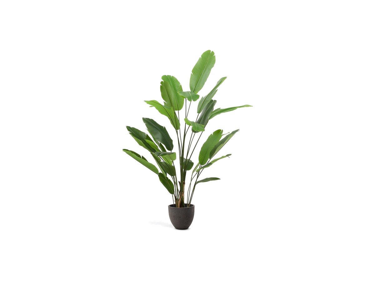 Kave Home Kunstboom Musa (banaan) met zwarte pot 210 cm
