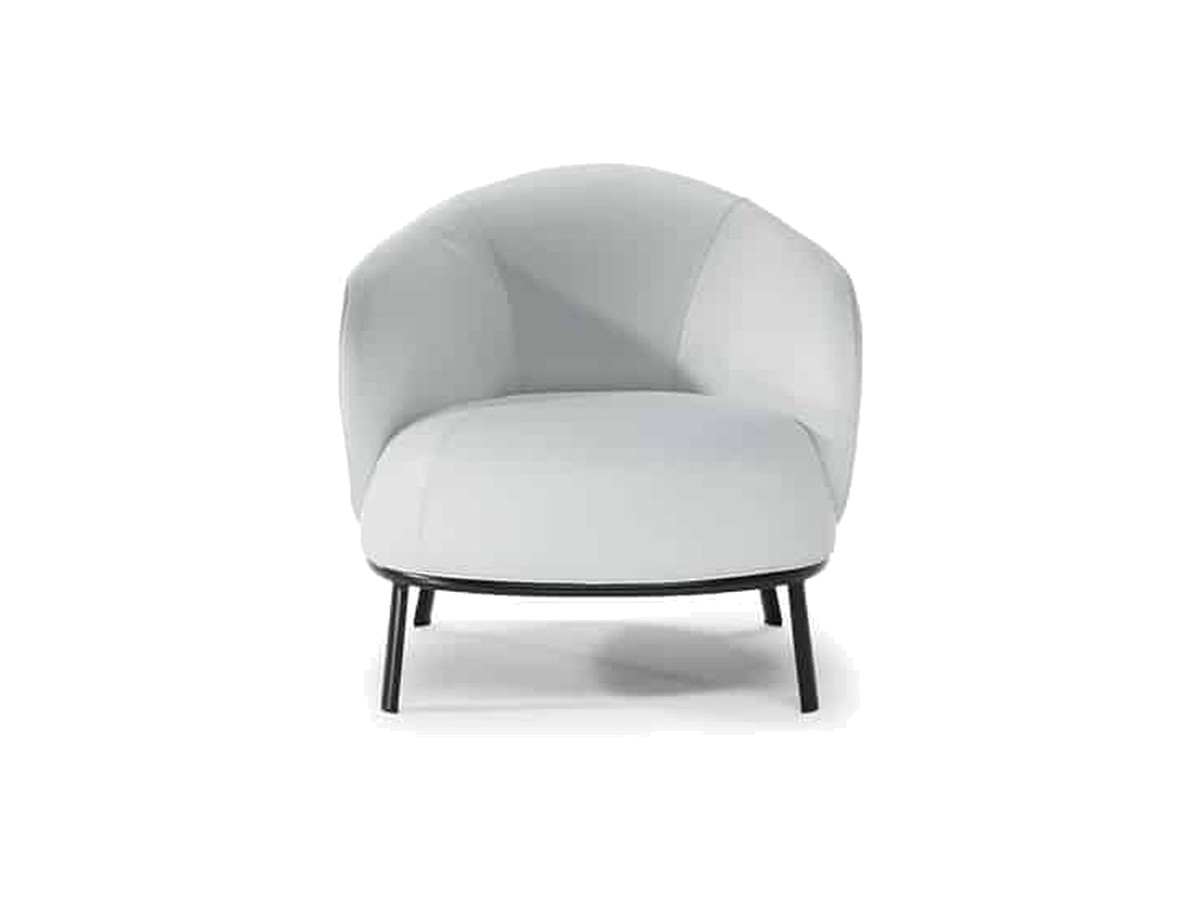 Natuzzi Italia Botanic fauteuil
