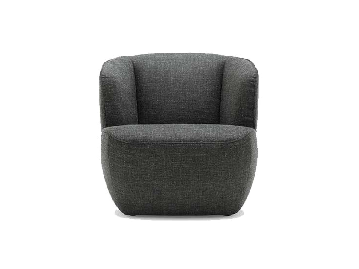 Rolf Benz 384 fauteuil – packshot